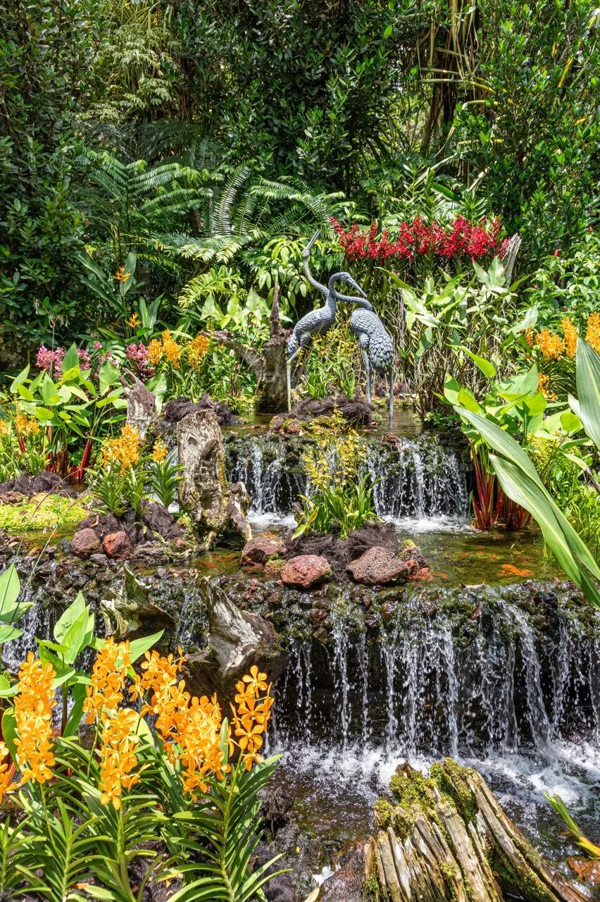 亚洲最幸福的国家，坐拥世界唯一五星机场，遍地花园，地摊都是米其林，但一不小心会赔个底朝天