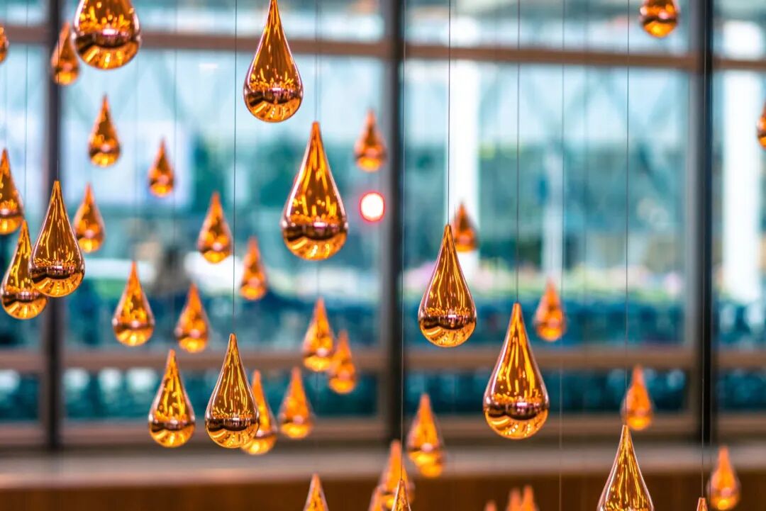 亚洲最幸福的国家，坐拥世界唯一五星机场，遍地花园，地摊都是米其林，但一不小心会赔个底朝天