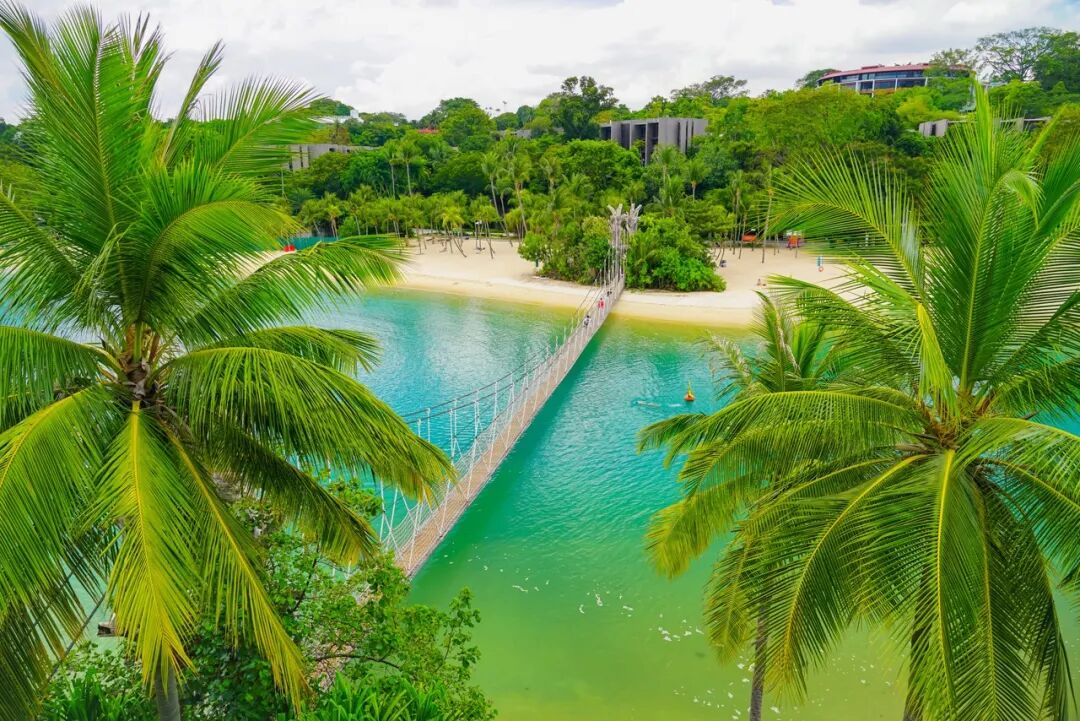 亚洲最幸福的国家，坐拥世界唯一五星机场，遍地花园，地摊都是米其林，但一不小心会赔个底朝天