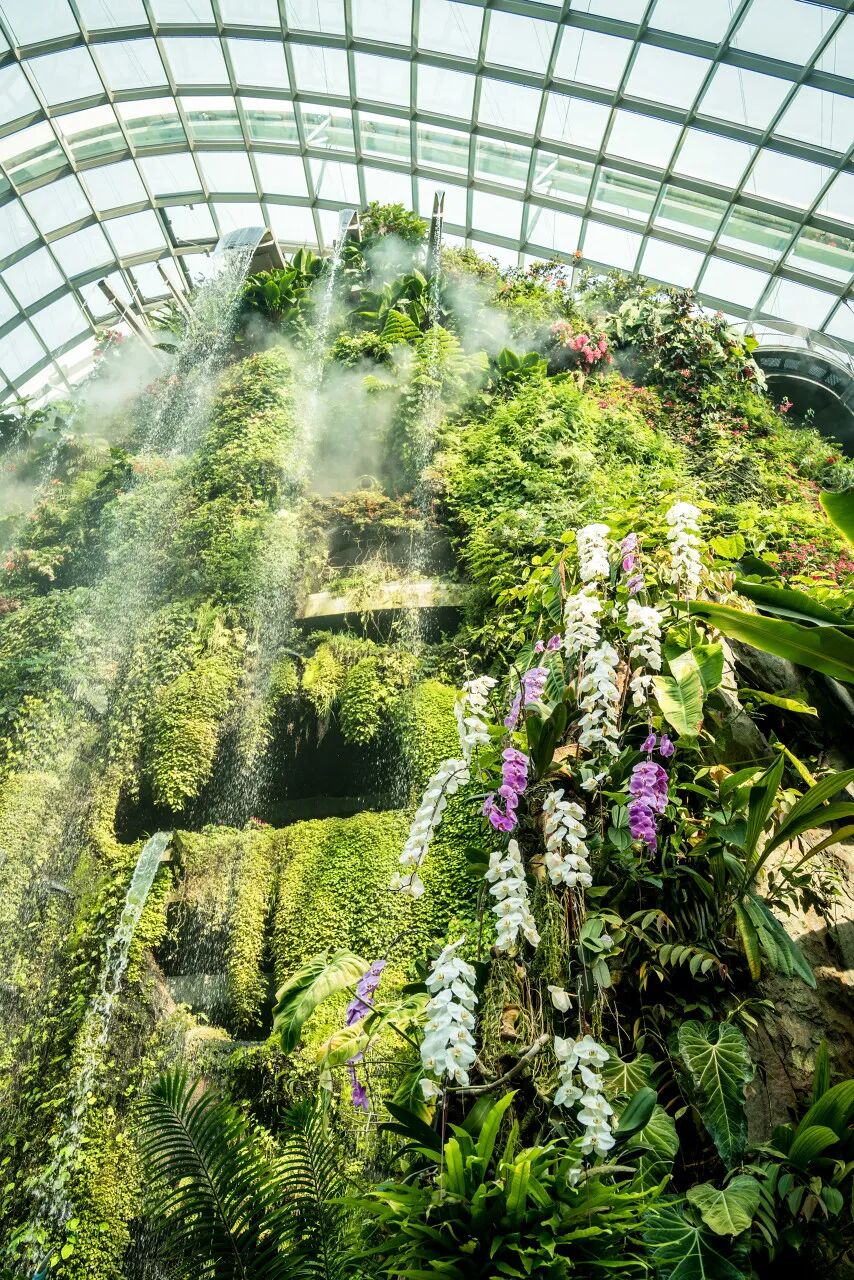 亚洲最幸福的国家，坐拥世界唯一五星机场，遍地花园，地摊都是米其林，但一不小心会赔个底朝天