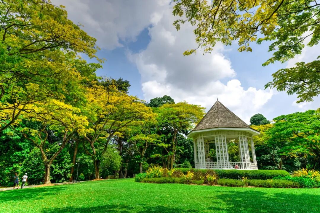 亚洲最幸福的国家，坐拥世界唯一五星机场，遍地花园，地摊都是米其林，但一不小心会赔个底朝天