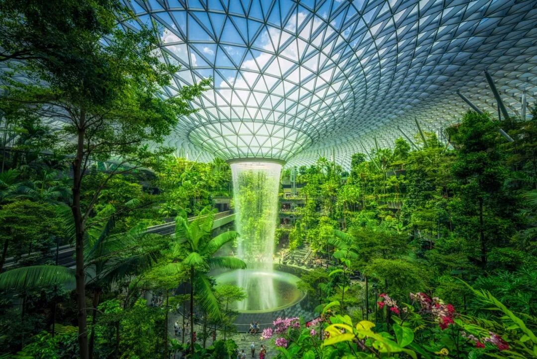 亚洲最幸福的国家，坐拥世界唯一五星机场，遍地花园，地摊都是米其林，但一不小心会赔个底朝天