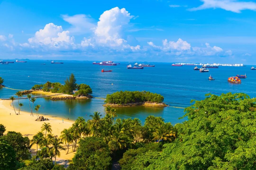 亚洲最幸福的国家，坐拥世界唯一五星机场，遍地花园，地摊都是米其林，但一不小心会赔个底朝天