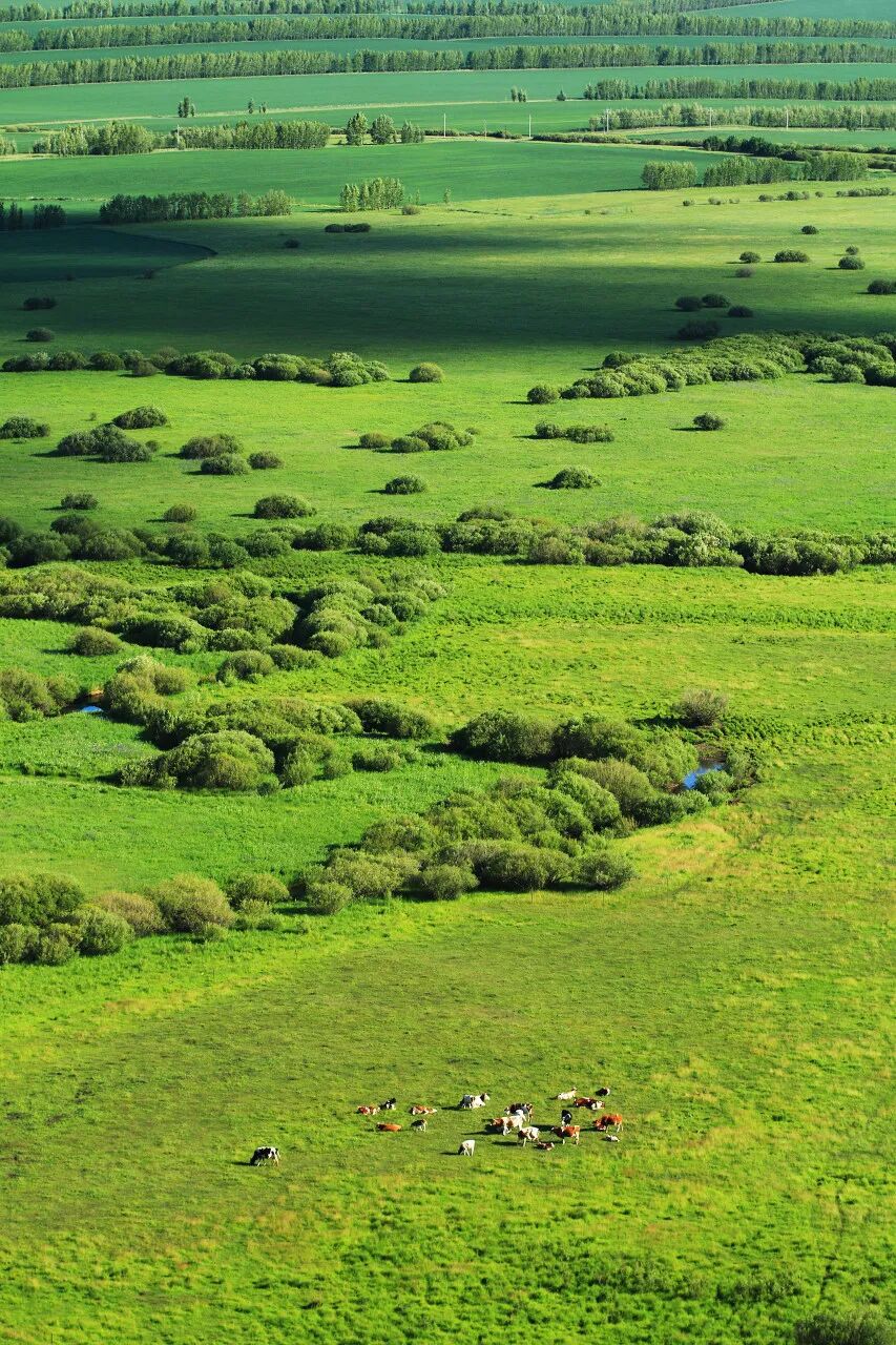 去了六盘水才知道，空调卖不出去；去了巴音布鲁克才知道，这里有九个太阳；去了盐城才知道，爬山是奢侈