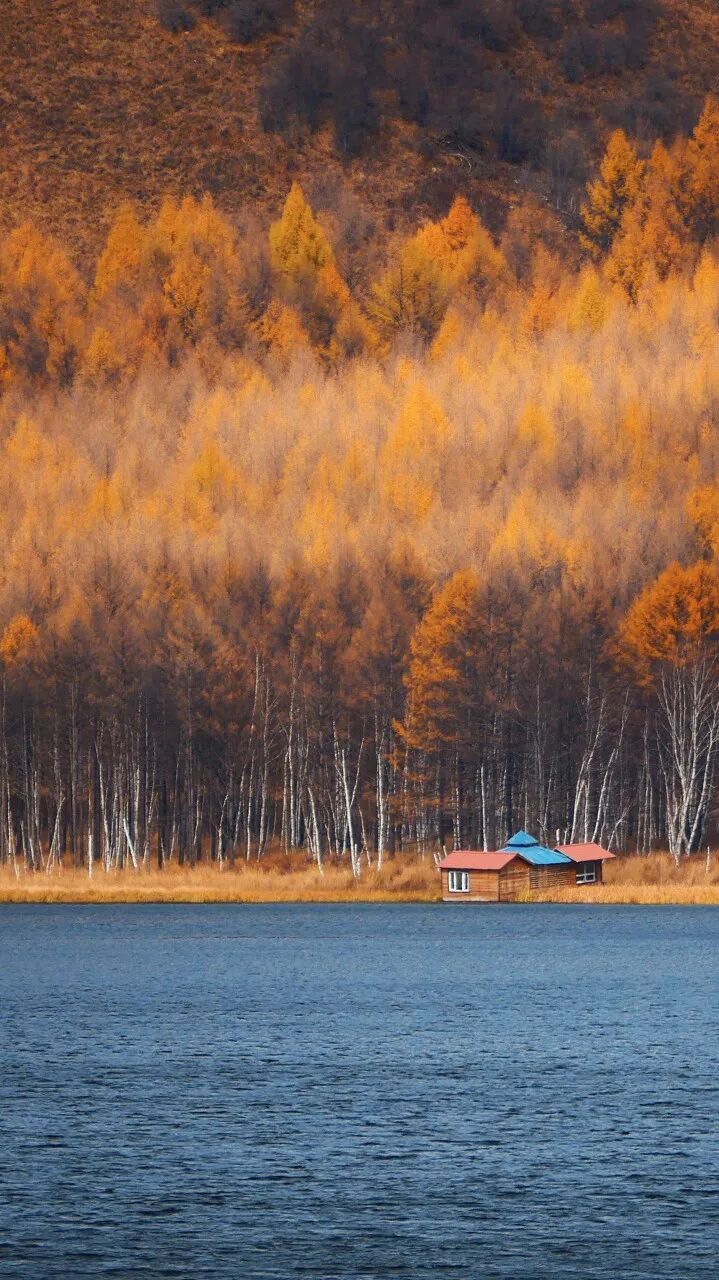去了六盘水才知道，空调卖不出去；去了巴音布鲁克才知道，这里有九个太阳；去了盐城才知道，爬山是奢侈