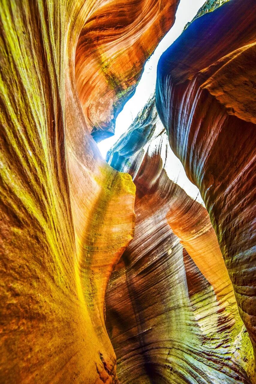 去了六盘水才知道，空调卖不出去；去了巴音布鲁克才知道，这里有九个太阳；去了盐城才知道，爬山是奢侈