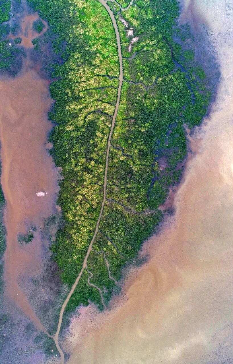去了六盘水才知道，空调卖不出去；去了巴音布鲁克才知道，这里有九个太阳；去了盐城才知道，爬山是奢侈