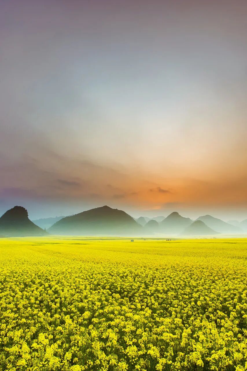 去了六盘水才知道，空调卖不出去；去了巴音布鲁克才知道，这里有九个太阳；去了盐城才知道，爬山是奢侈