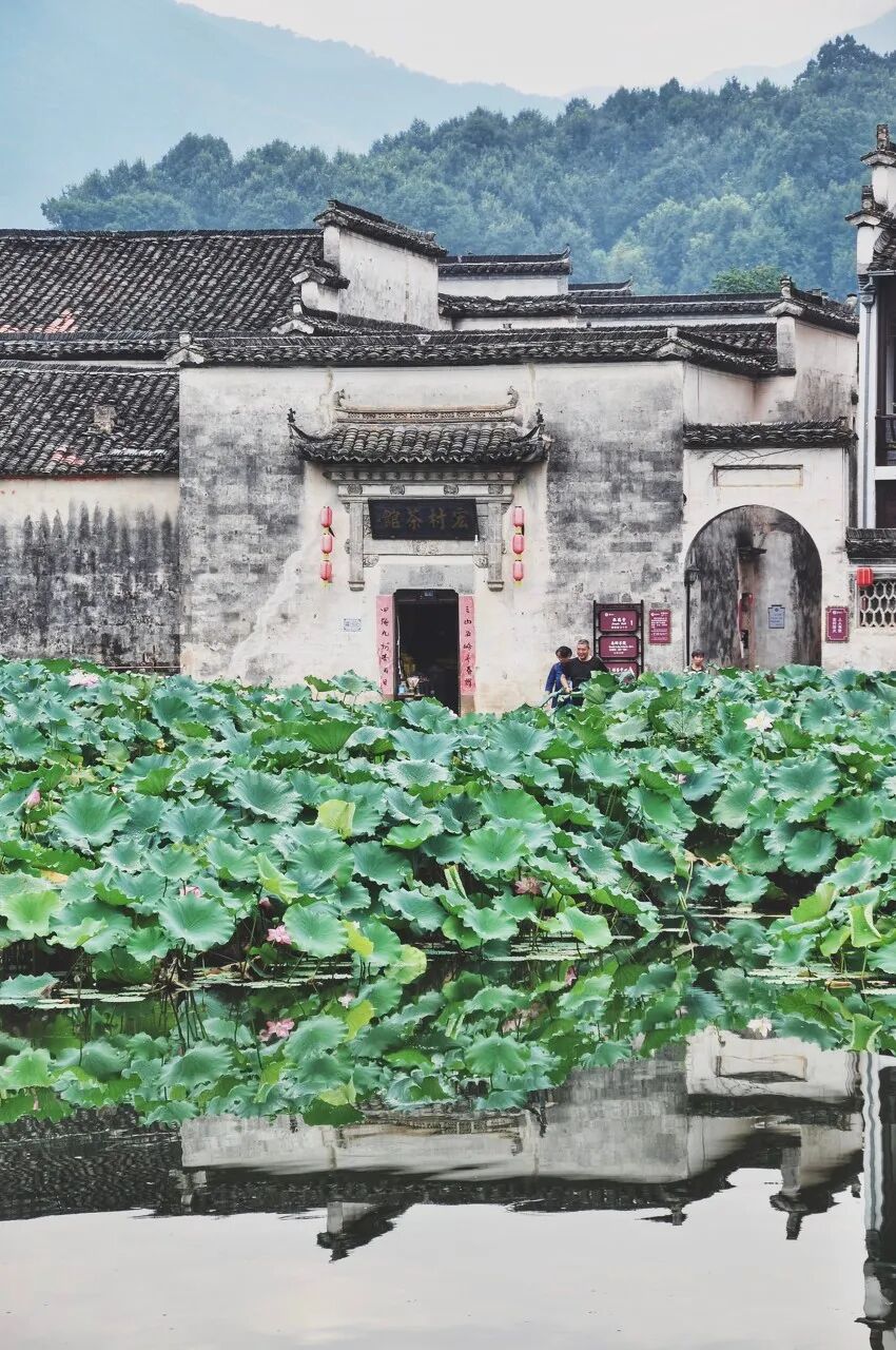 去了六盘水才知道，空调卖不出去；去了巴音布鲁克才知道，这里有九个太阳；去了盐城才知道，爬山是奢侈