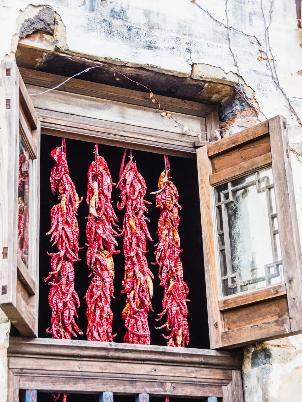 去了六盘水才知道，空调卖不出去；去了巴音布鲁克才知道，这里有九个太阳；去了盐城才知道，爬山是奢侈