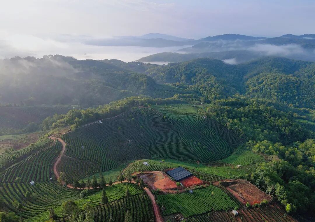 比昆明宜居，游客不及大理一半，它才是云南最美慢城，洗掉一身班味儿，想来养老！