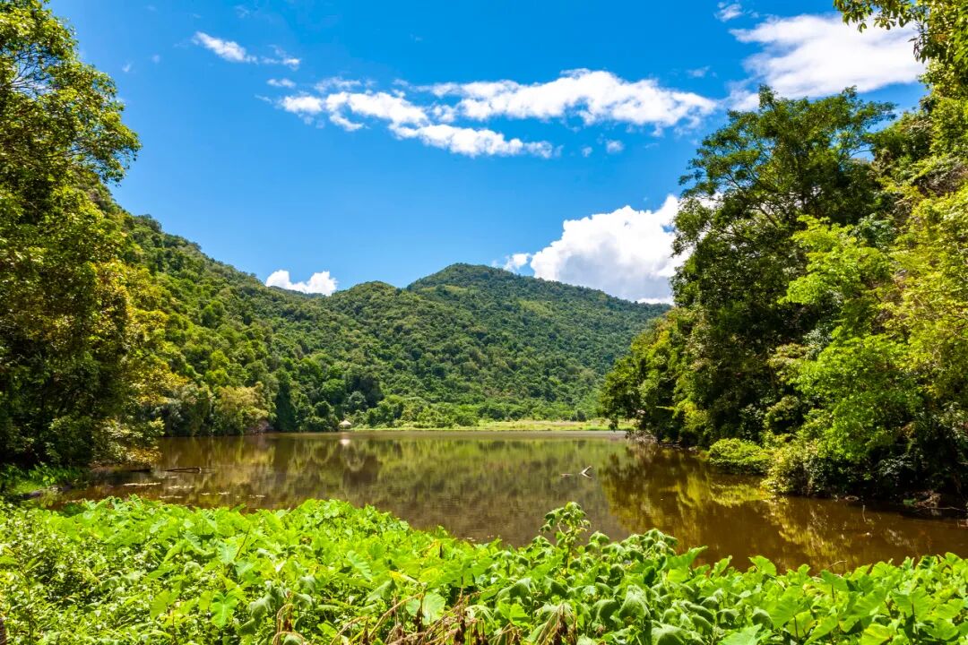 比昆明宜居，游客不及大理一半，它才是云南最美慢城，洗掉一身班味儿，想来养老！