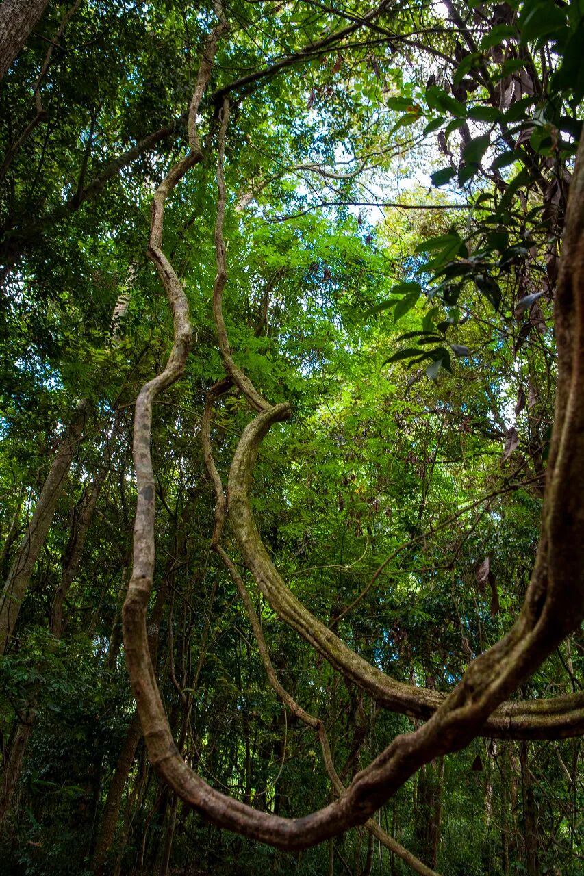 比昆明宜居，游客不及大理一半，它才是云南最美慢城，洗掉一身班味儿，想来养老！