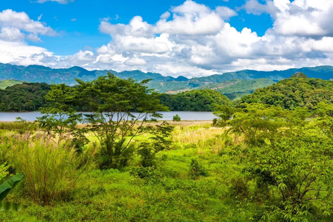 比昆明宜居，游客不及大理一半，它才是云南最美慢城，洗掉一身班味儿，想来养老！