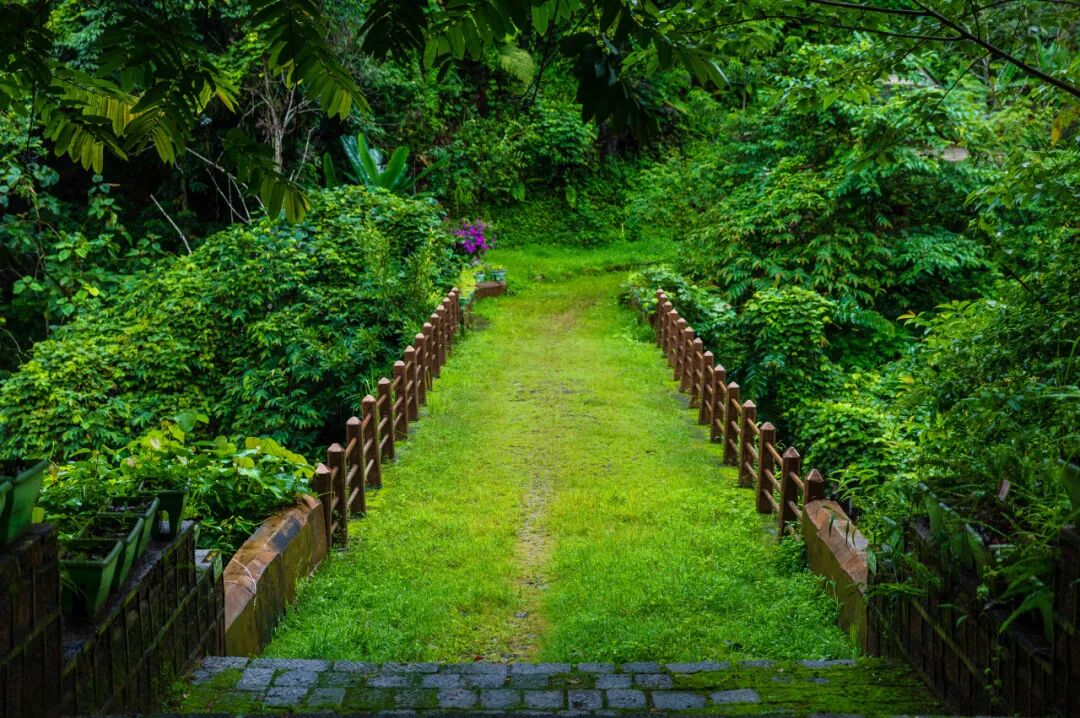 比昆明宜居，游客不及大理一半，它才是云南最美慢城，洗掉一身班味儿，想来养老！