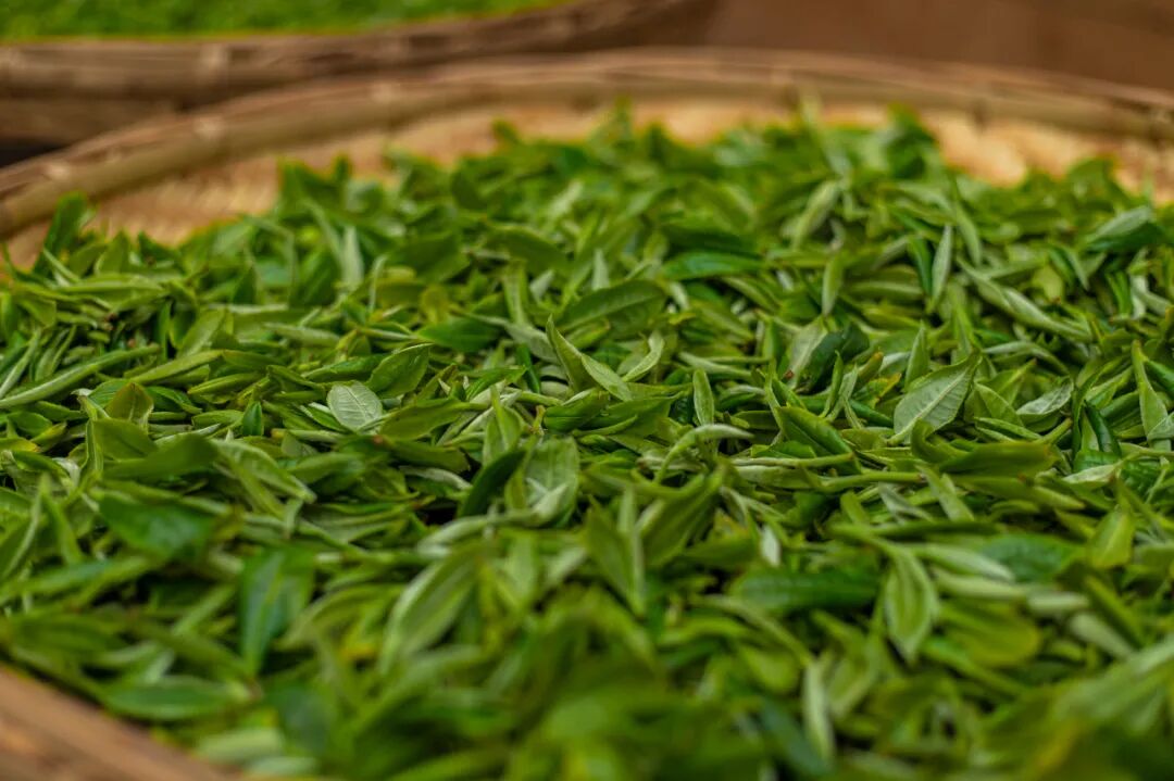 比昆明宜居，游客不及大理一半，它才是云南最美慢城，洗掉一身班味儿，想来养老！