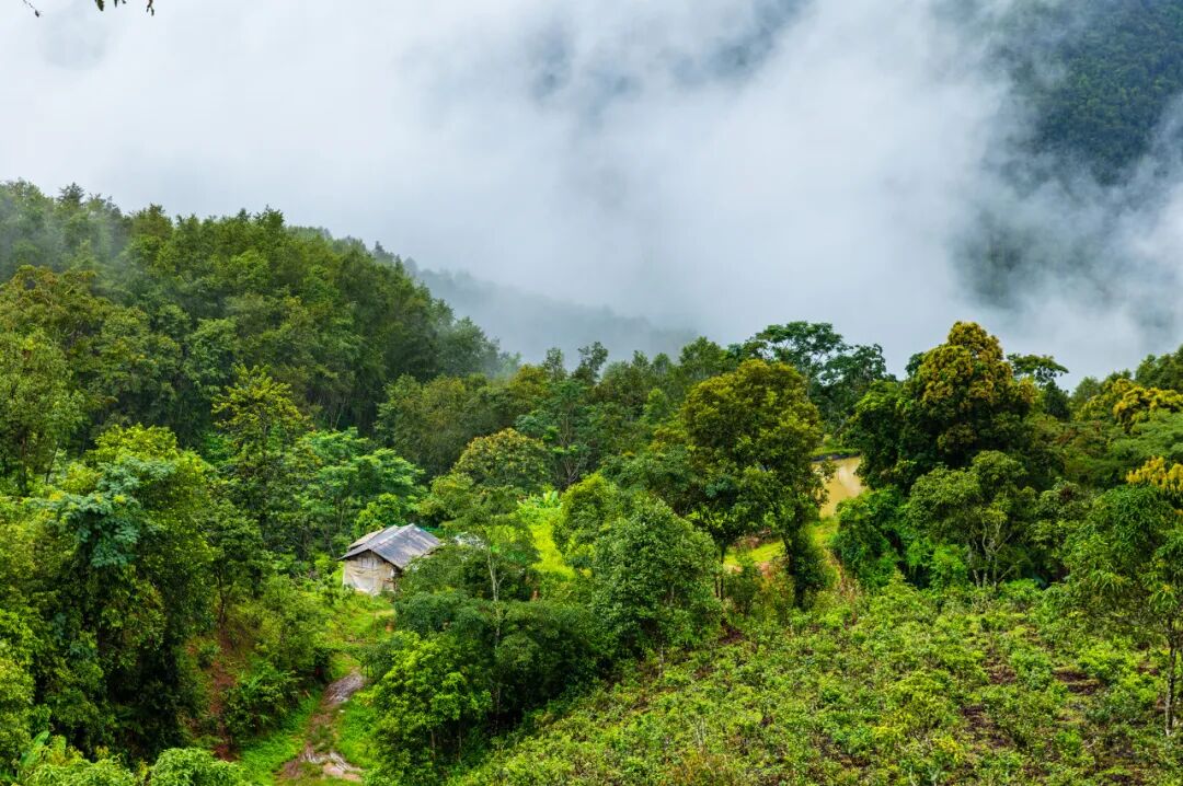比昆明宜居，游客不及大理一半，它才是云南最美慢城，洗掉一身班味儿，想来养老！