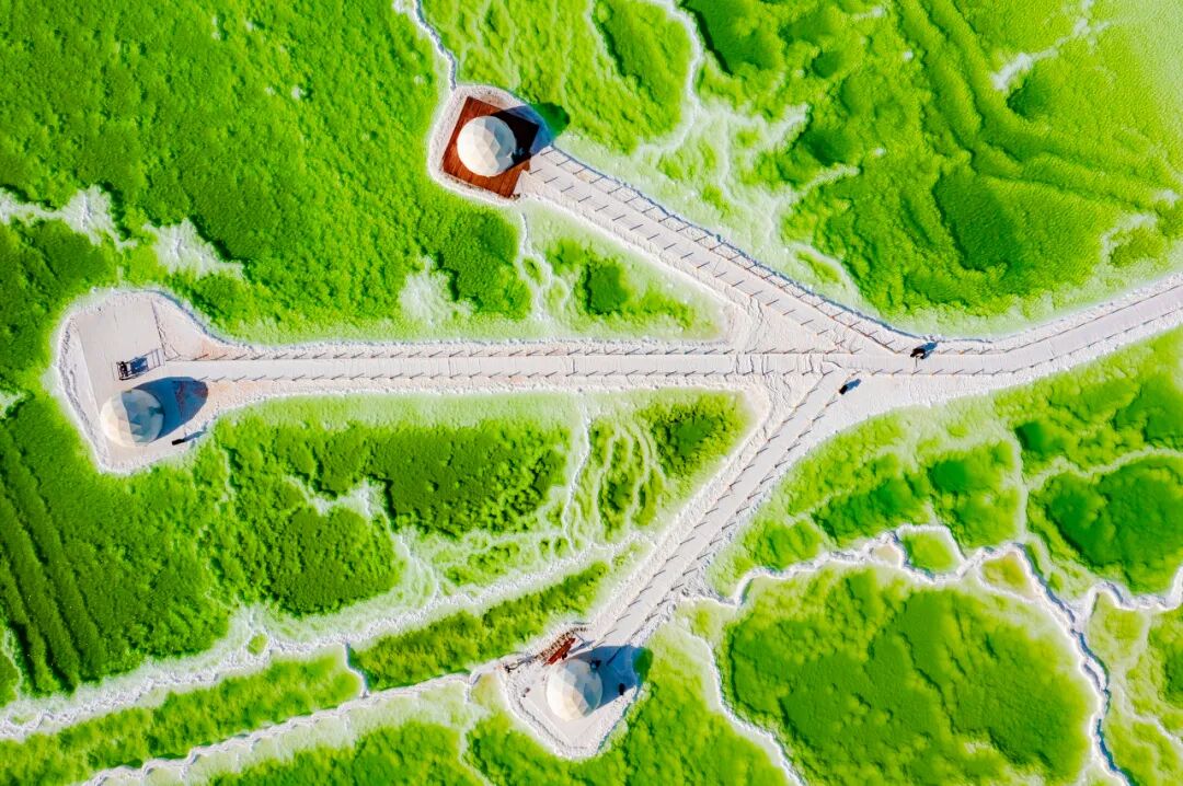 囤盐风波背后的真相！中国最大的“天空之镜"曝光，比茶卡盐湖大56倍，价值12万亿，够全世界人口吃1000年！