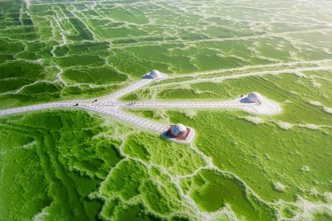 囤盐风波背后的真相！中国最大的“天空之镜"曝光，比茶卡盐湖大56倍，价值12万亿，够全世界人口吃1000年！