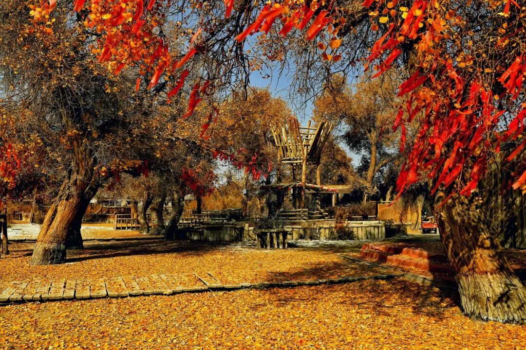 中国最贵的景区, 门票3500元，外国人进去要交30万，全球只有不到5万人去过