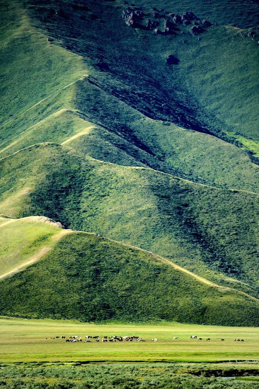 中国最贵的景区, 门票3500元，外国人进去要交30万，全球只有不到5万人去过