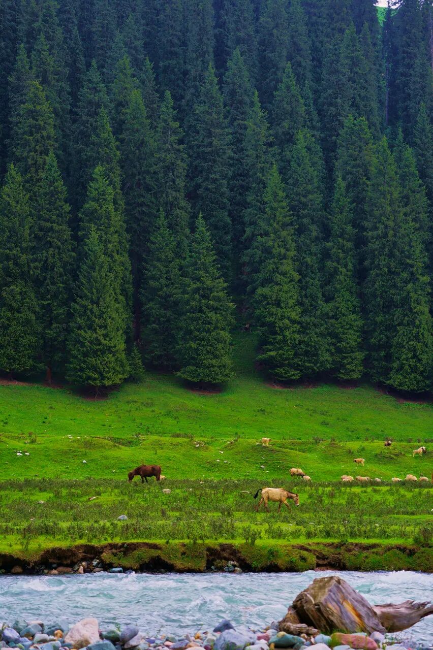 中国最贵的景区, 门票3500元，外国人进去要交30万，全球只有不到5万人去过