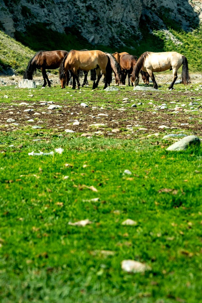 中国最贵的景区, 门票3500元，外国人进去要交30万，全球只有不到5万人去过