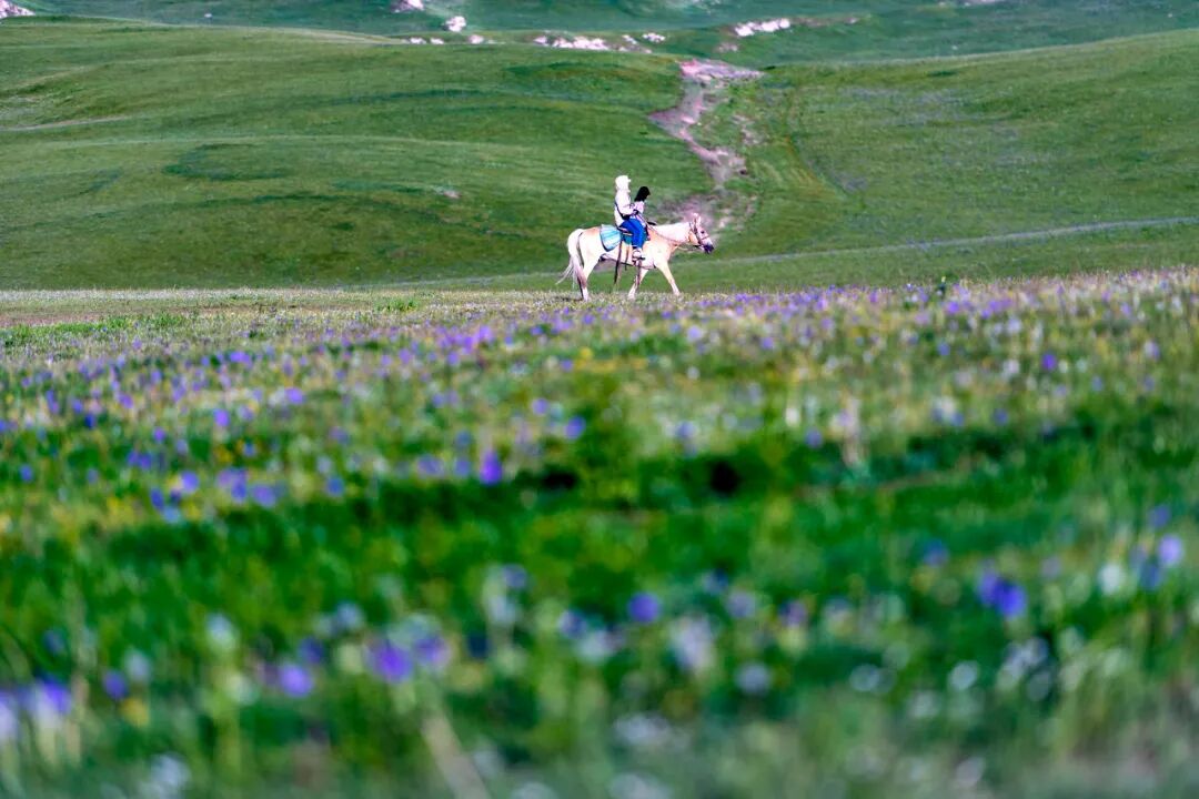 中国最贵的景区, 门票3500元，外国人进去要交30万，全球只有不到5万人去过