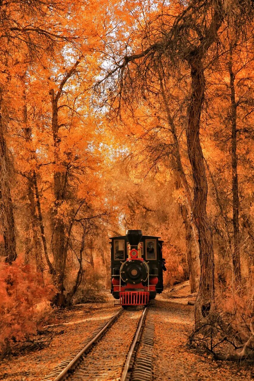 中国最贵的景区, 门票3500元，外国人进去要交30万，全球只有不到5万人去过