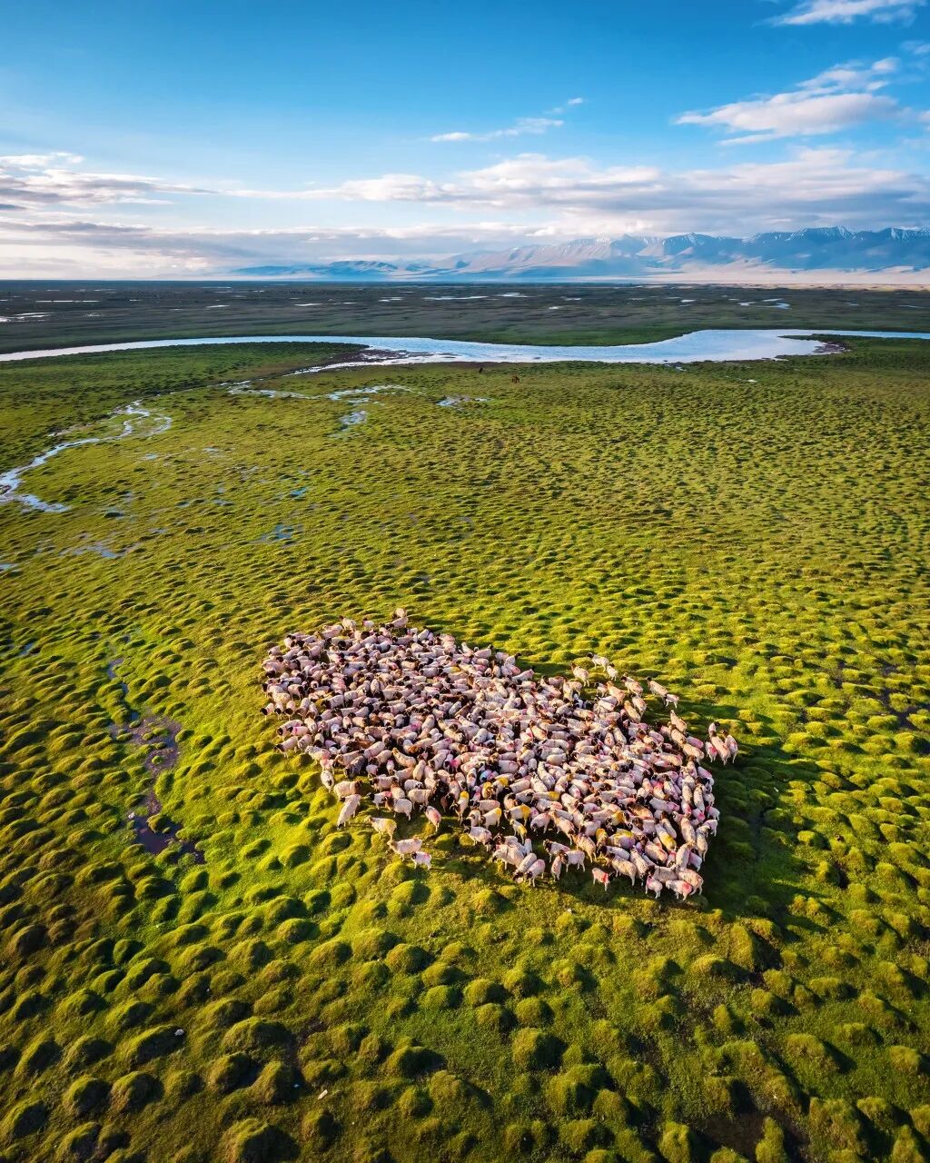中国最贵的景区, 门票3500元，外国人进去要交30万，全球只有不到5万人去过