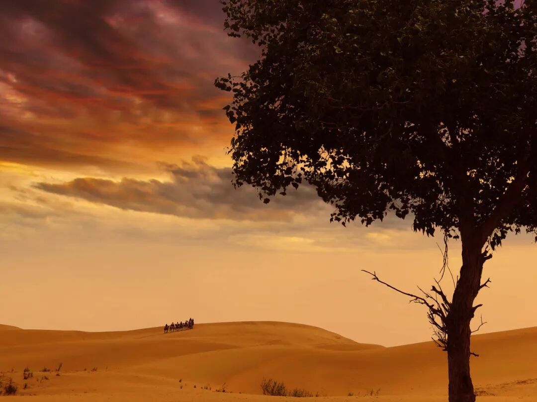 中国最贵的景区, 门票3500元，外国人进去要交30万，全球只有不到5万人去过