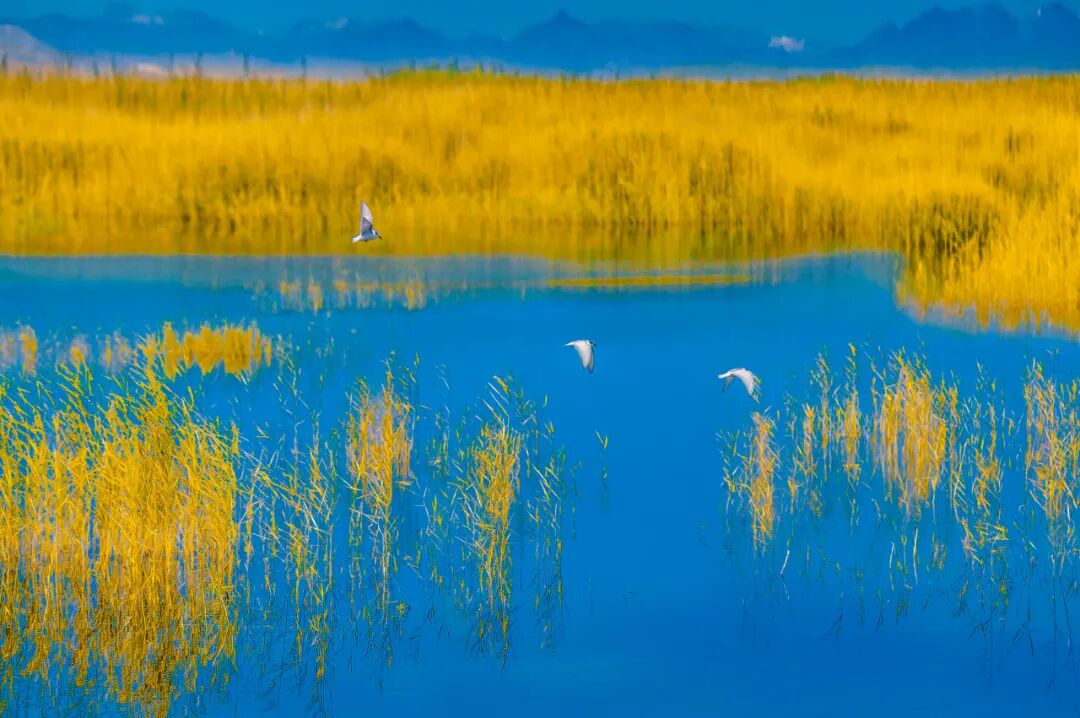 中国最贵的景区, 门票3500元，外国人进去要交30万，全球只有不到5万人去过