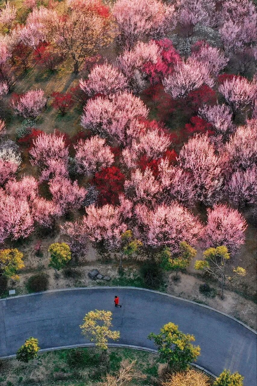 中国最宜居的城市，曾是世界No.1！比苏杭秀丽，比成都安逸，倦了就去小住几日