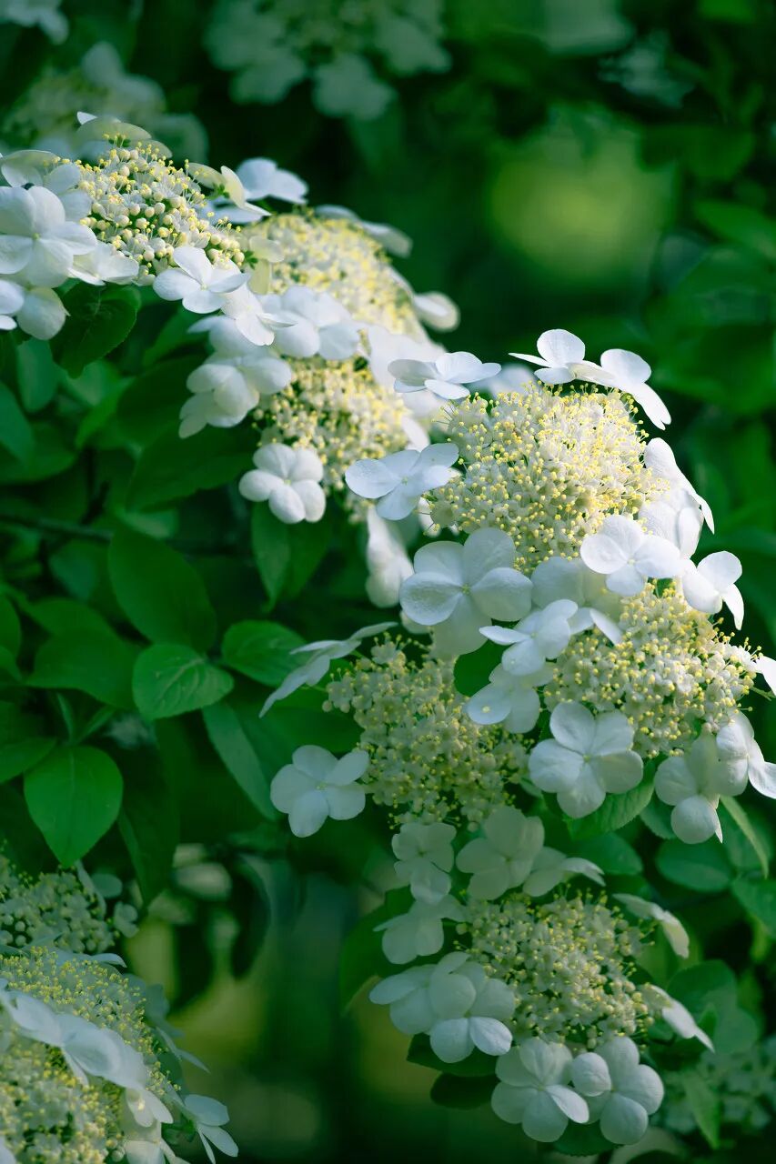 中国最宜居的城市，曾是世界No.1！比苏杭秀丽，比成都安逸，倦了就去小住几日