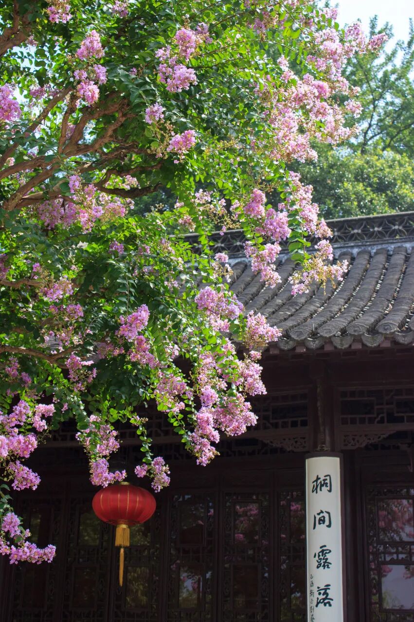 中国最宜居的城市，曾是世界No.1！比苏杭秀丽，比成都安逸，倦了就去小住几日