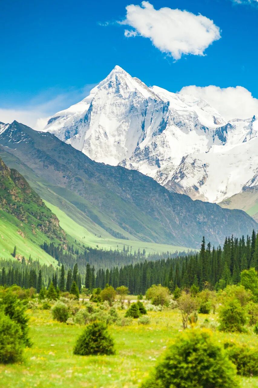 6月最值得去的避暑胜地，不扎堆不拥挤，比空调屋还凉快，随便挑一个去过25℃的夏天！