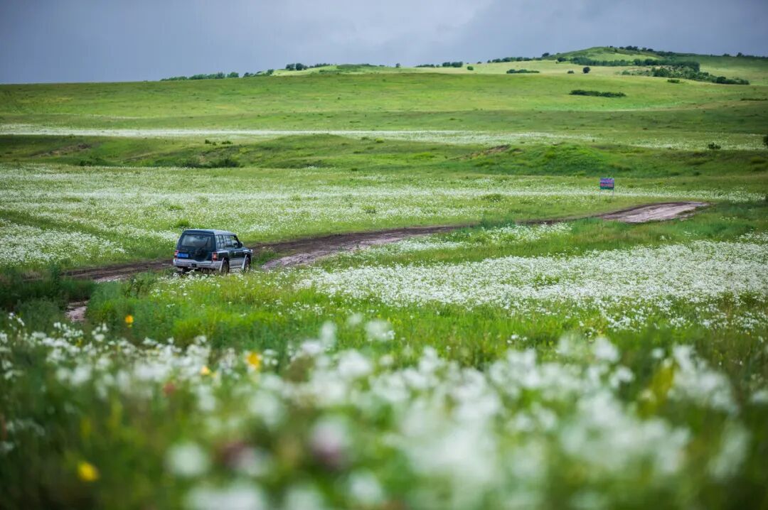 6月最值得去的避暑胜地，不扎堆不拥挤，比空调屋还凉快，随便挑一个去过25℃的夏天！