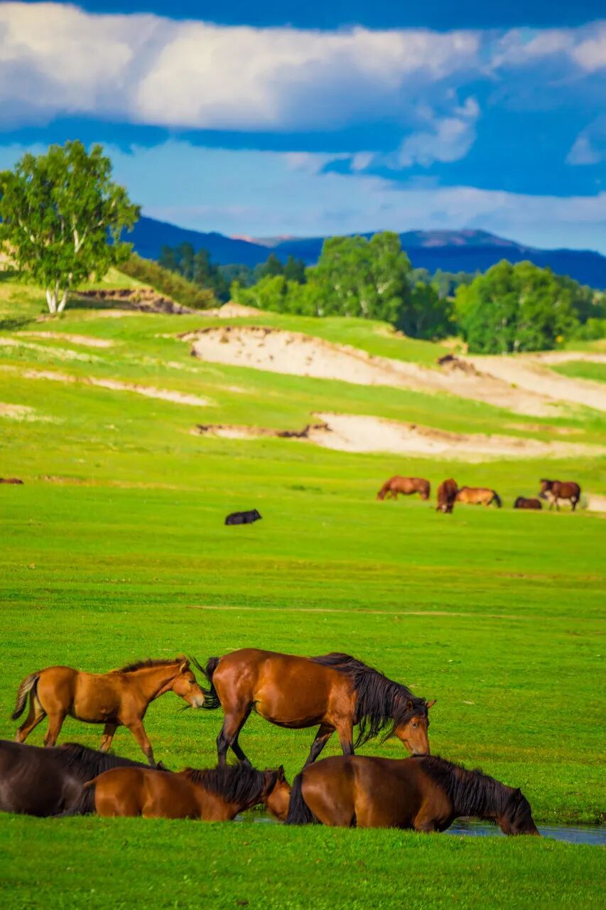 6月最值得去的避暑胜地，不扎堆不拥挤，比空调屋还凉快，随便挑一个去过25℃的夏天！