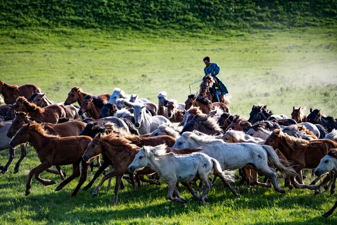 6月最值得去的避暑胜地，不扎堆不拥挤，比空调屋还凉快，随便挑一个去过25℃的夏天！
