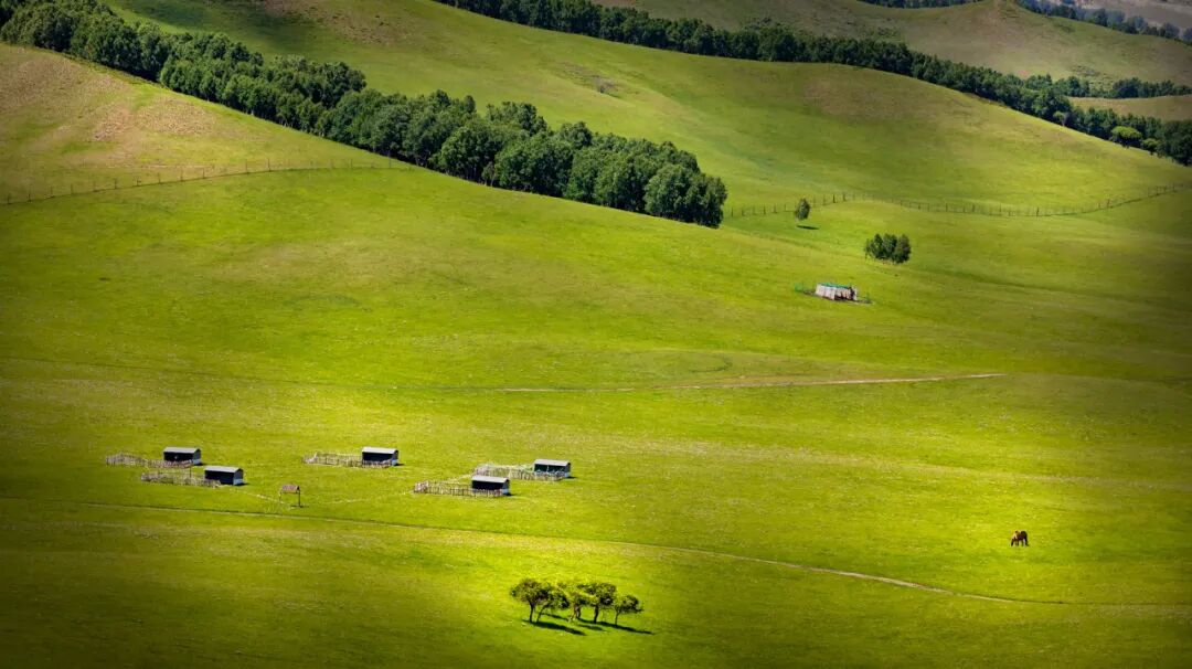 6月最值得去的避暑胜地，不扎堆不拥挤，比空调屋还凉快，随便挑一个去过25℃的夏天！