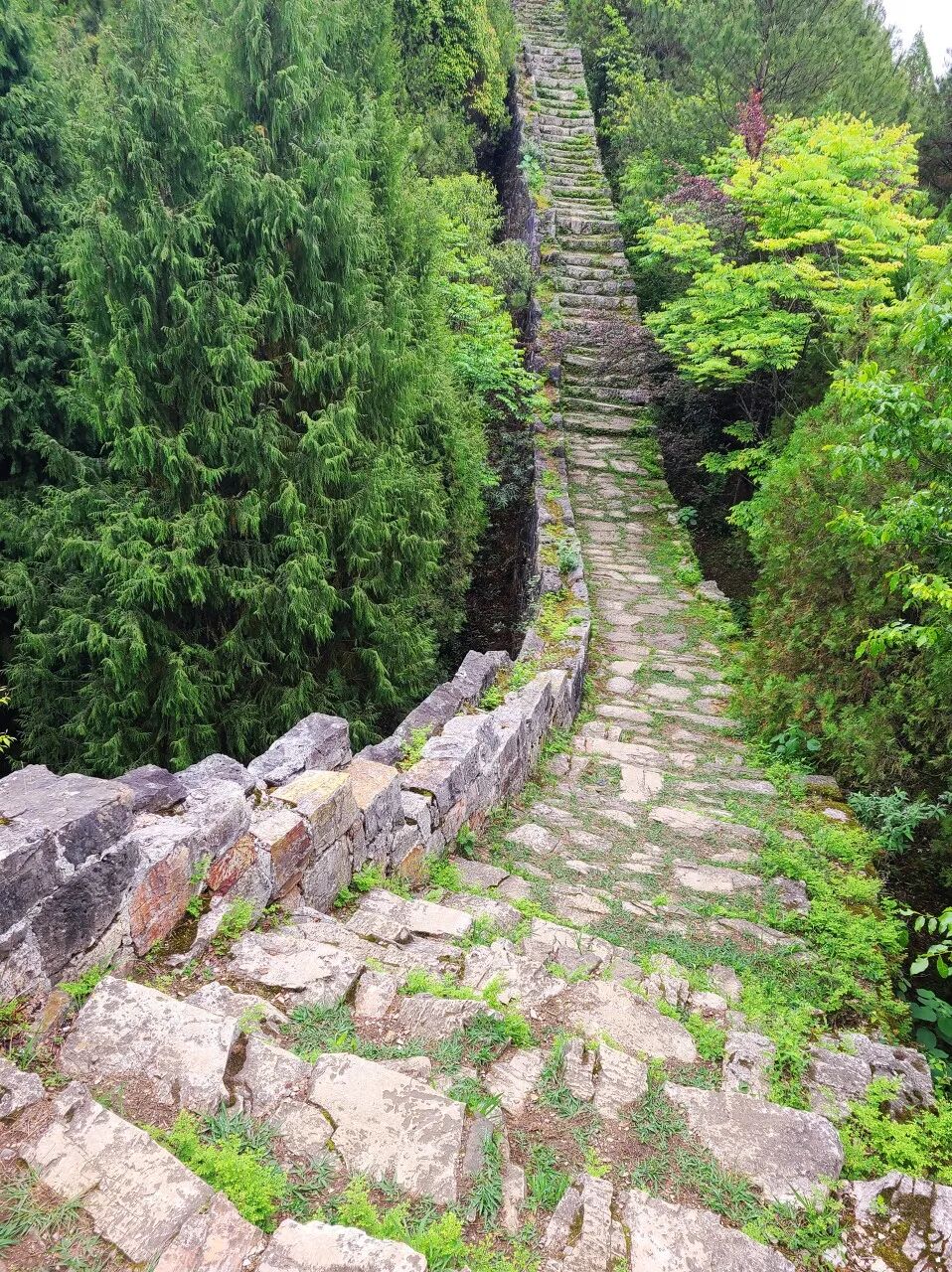 国内被遗忘的“东方威尼斯”，人少安静，超级凉爽，正适合6月小住几日！
