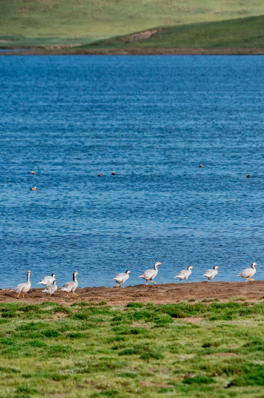中国唯一门票全免的城市，藏着全国首个国家公园，每年只有2000人能进，比西藏更神秘