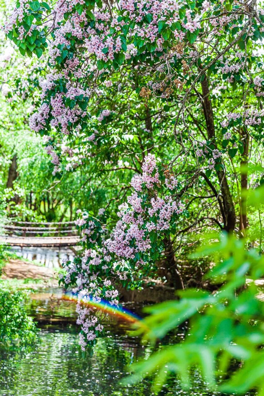 中国最不能辜负的12个古镇，累了就去小住几日吧！