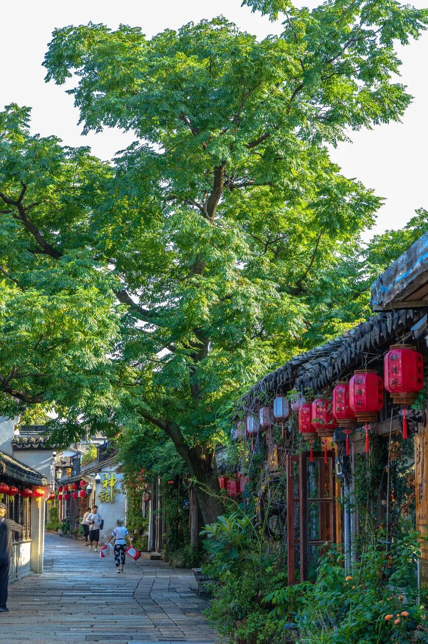 中国最不能辜负的12个古镇，累了就去小住几日吧！