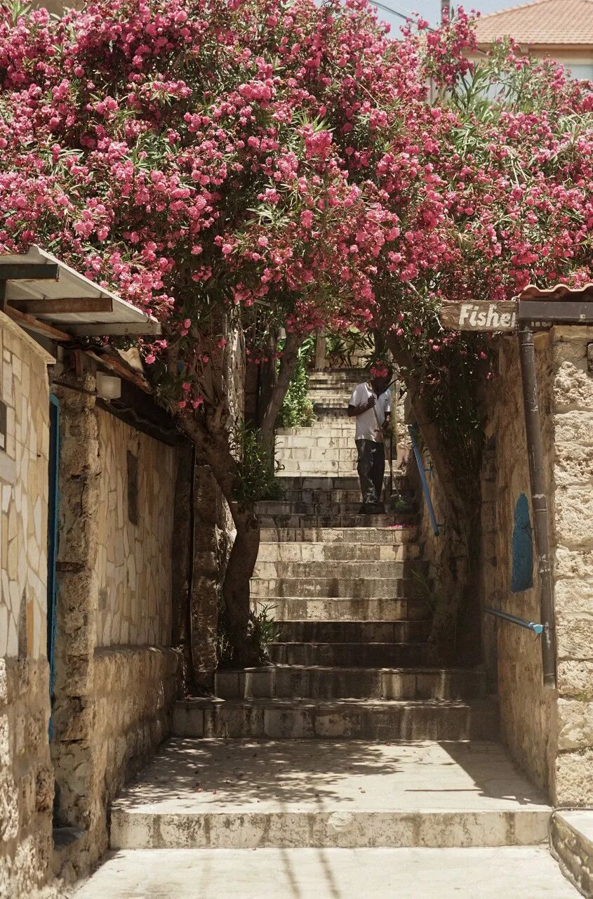 又一国家宣布破产！曾是此生必去旅行地，如今负债6000亿，政府全体辞职，全国停电，1/3国民饿肚子，战火纷飞...