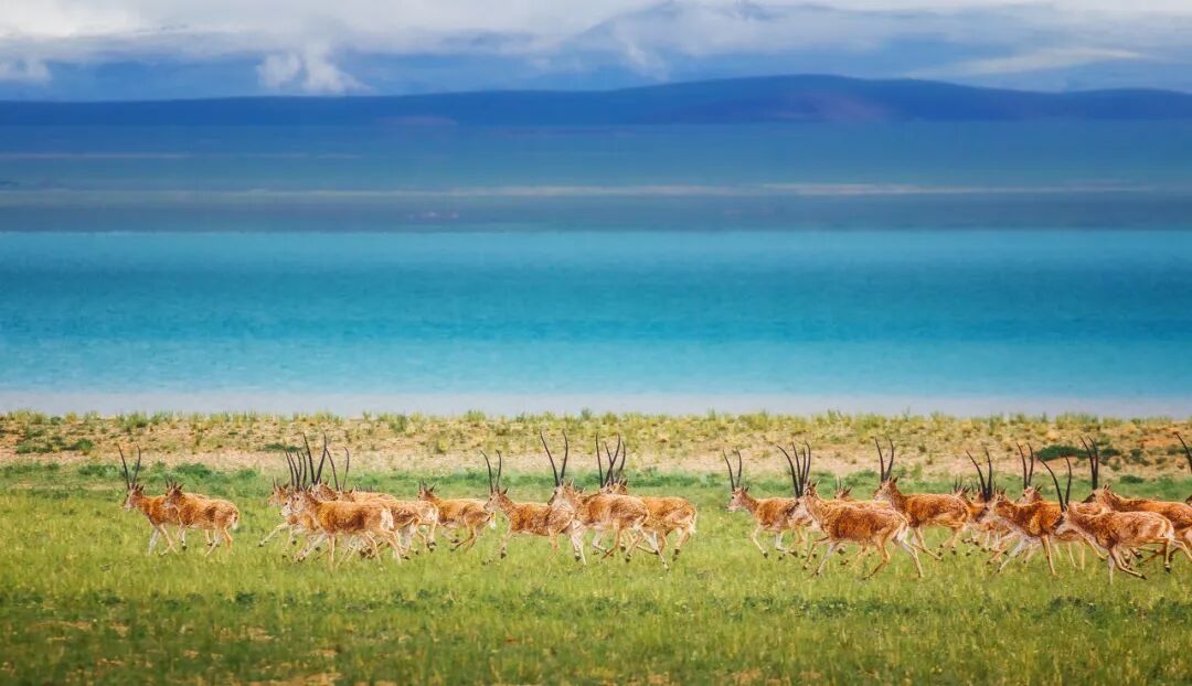 中国唯一门票全免的城市，藏着全国首个国家公园，每年只有2000人能进，比西藏更神秘