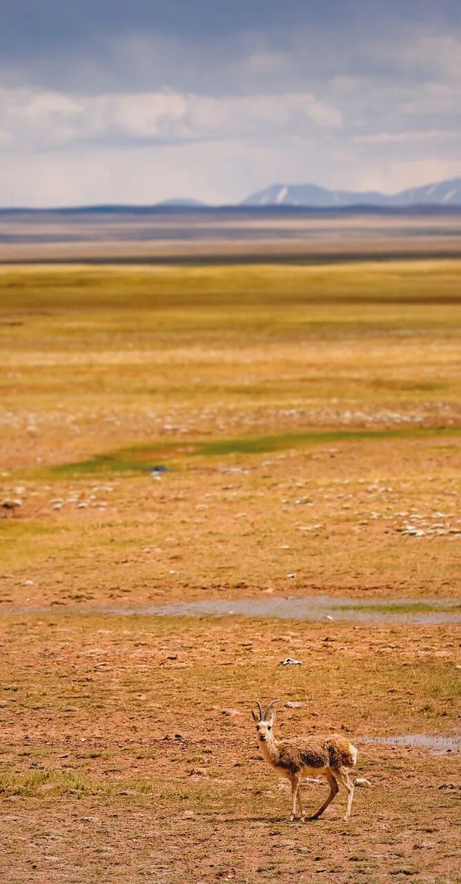 中国唯一门票全免的城市，藏着全国首个国家公园，每年只有2000人能进，比西藏更神秘