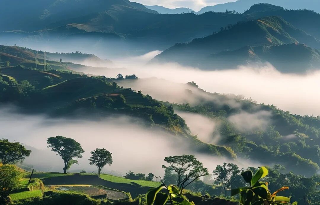 超适合“发呆”的小城，比昆明宜居，游客不及大理一半，四季如春，3元茶水免费续，10元咖啡喝到爽，洗掉一身班味儿！