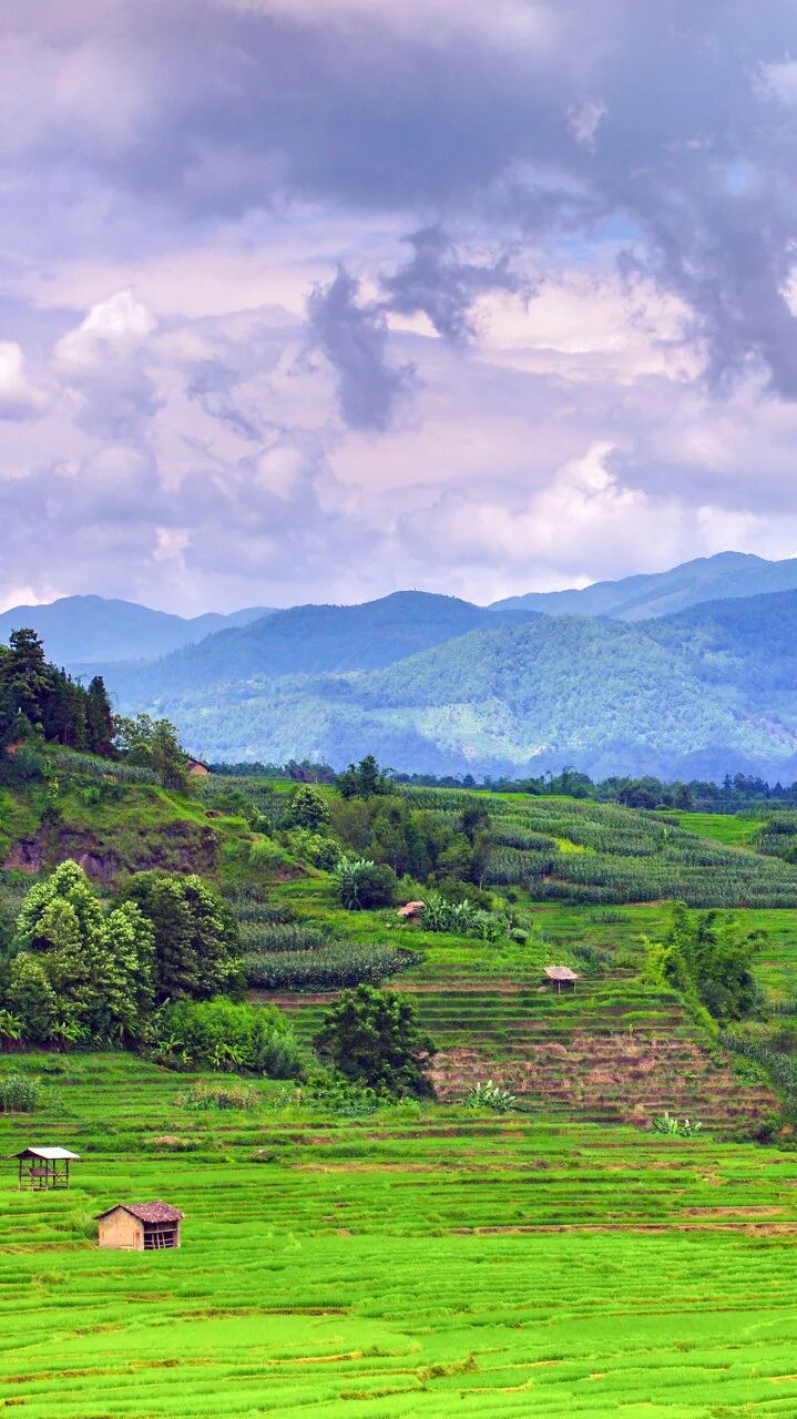 超适合“发呆”的小城，比昆明宜居，游客不及大理一半，四季如春，3元茶水免费续，10元咖啡喝到爽，洗掉一身班味儿！