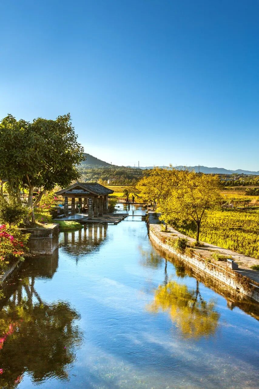 超适合“发呆”的小城，比昆明宜居，游客不及大理一半，四季如春，3元茶水免费续，10元咖啡喝到爽，洗掉一身班味儿！